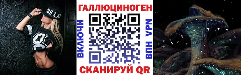 Псилоцибиновые грибы Psilocybe Балтийск